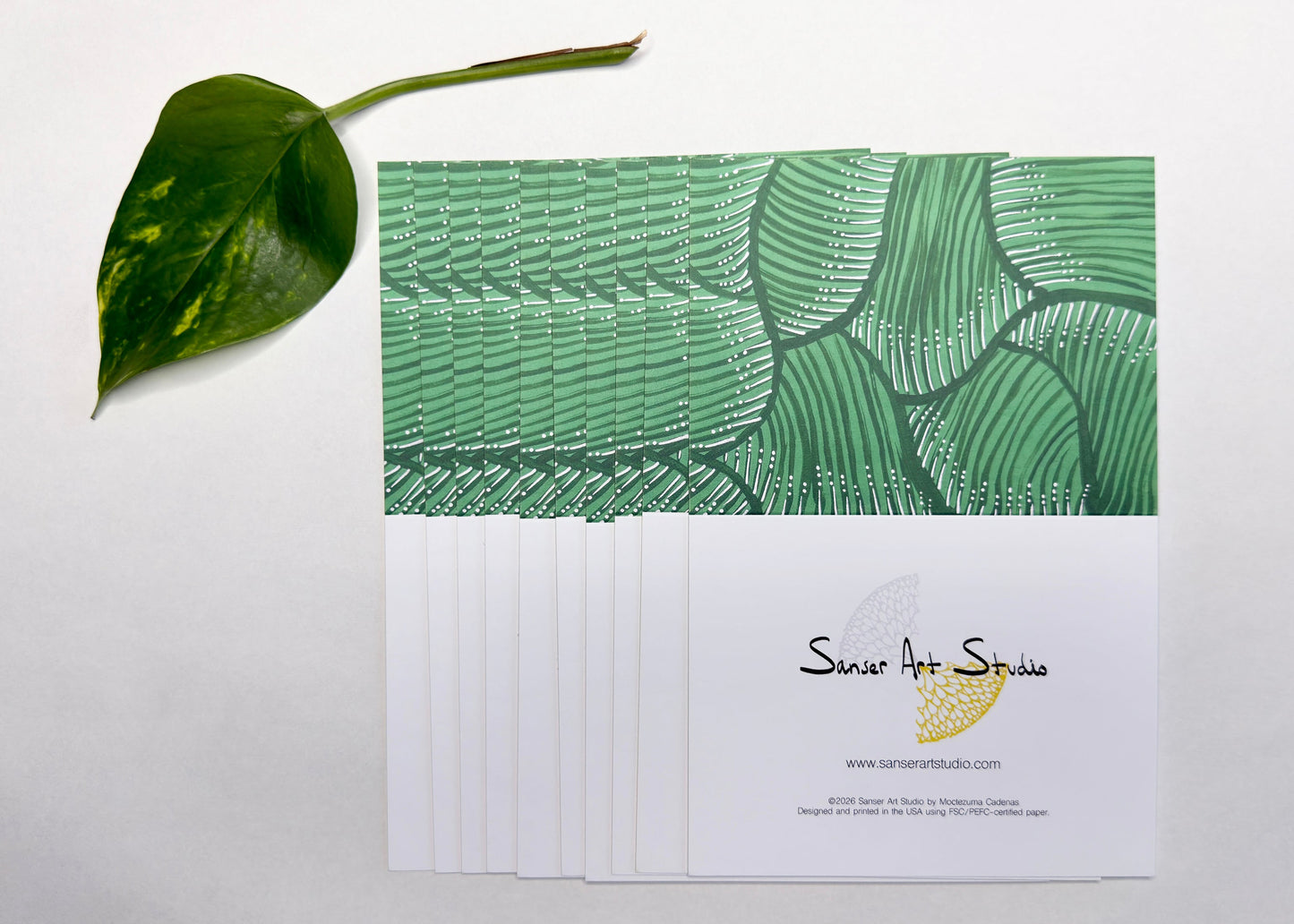 GREEN CALATHEA  BOTANICAL PRINT BLANK NOTE CARD - 10 PACK