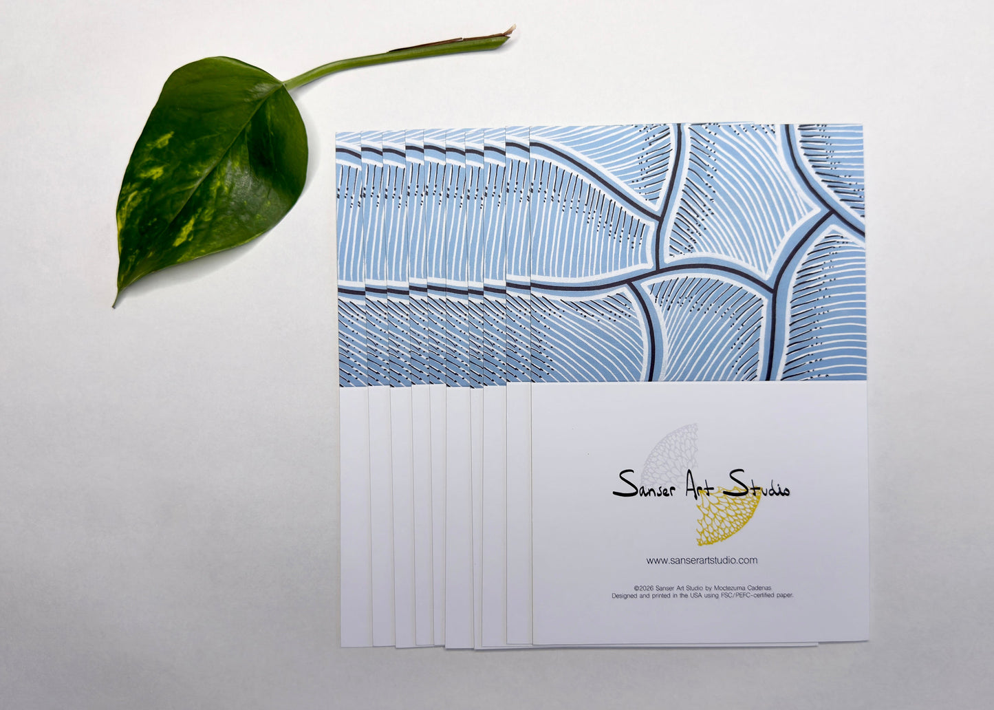 SKY CALATHEA  BOTANICAL PRINT BLANK NOTE CARD - 10 PACK