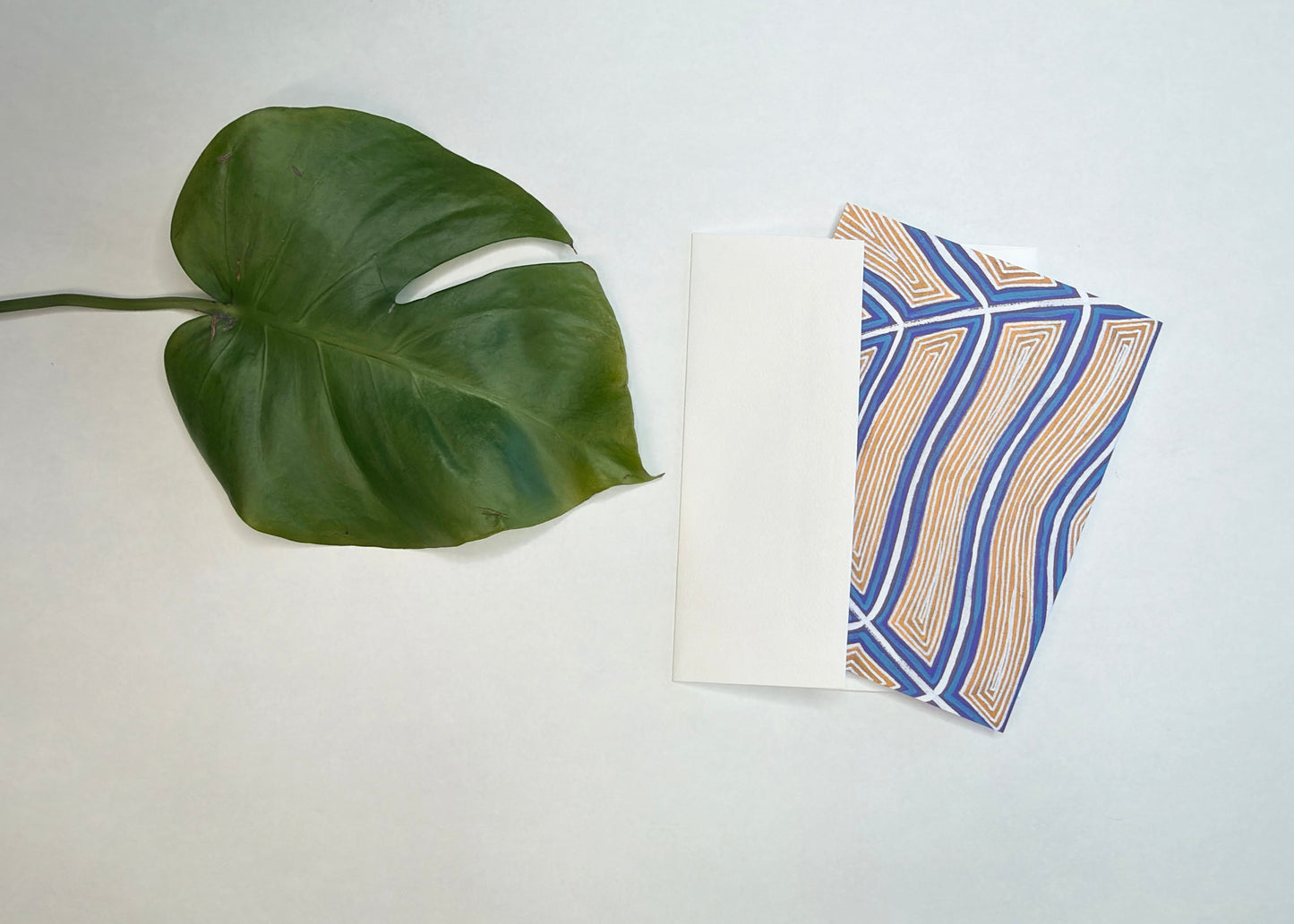CITY MONSTERA BOTANICAL PRINT BLANK NOTE CARD - 10 PACK