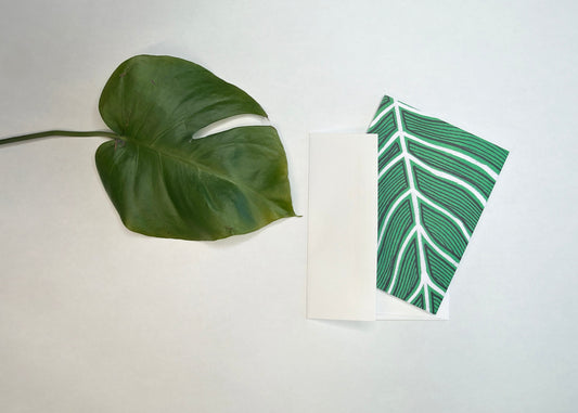 GRANDIOSA MONSTERA BOTANICAL PRINT BLANK NOTE CARD - 10 PACK