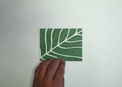 GRANDIOSA MONSTERA BOTANICAL PRINT BLANK NOTE CARD - 10 PACK